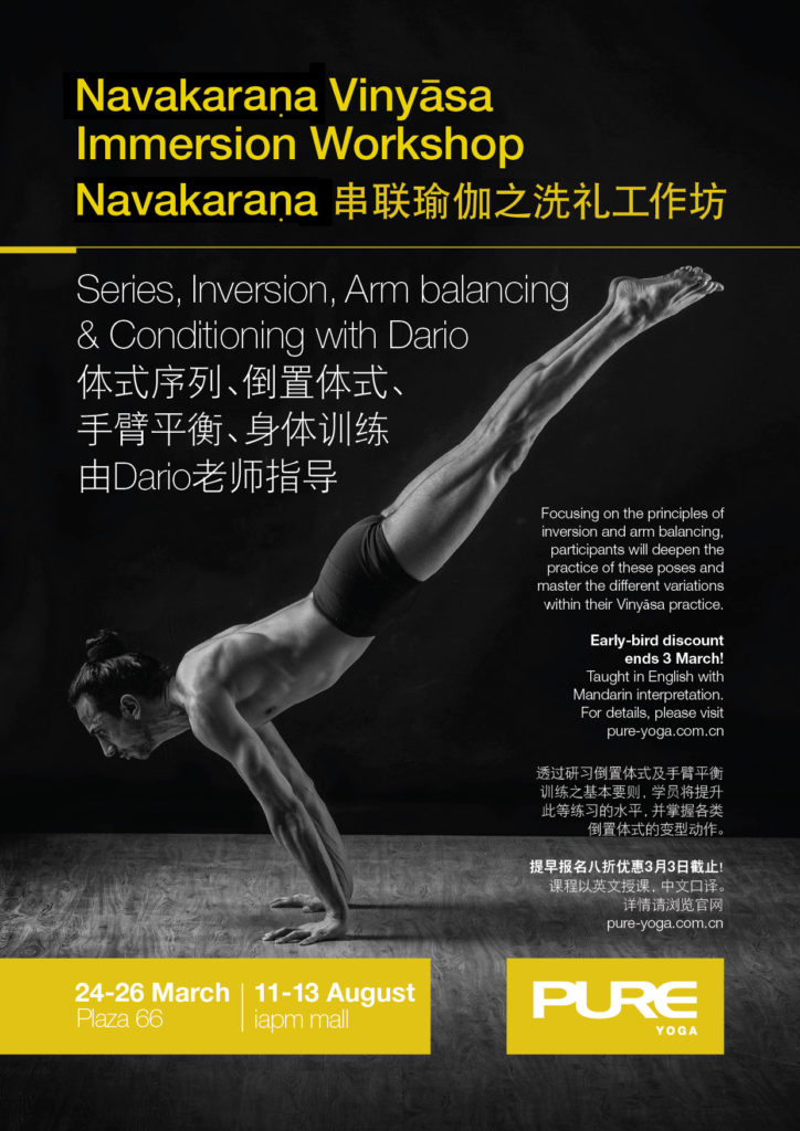 Navakaraṇa Vinyāsa Immersion Workshop Shanghai